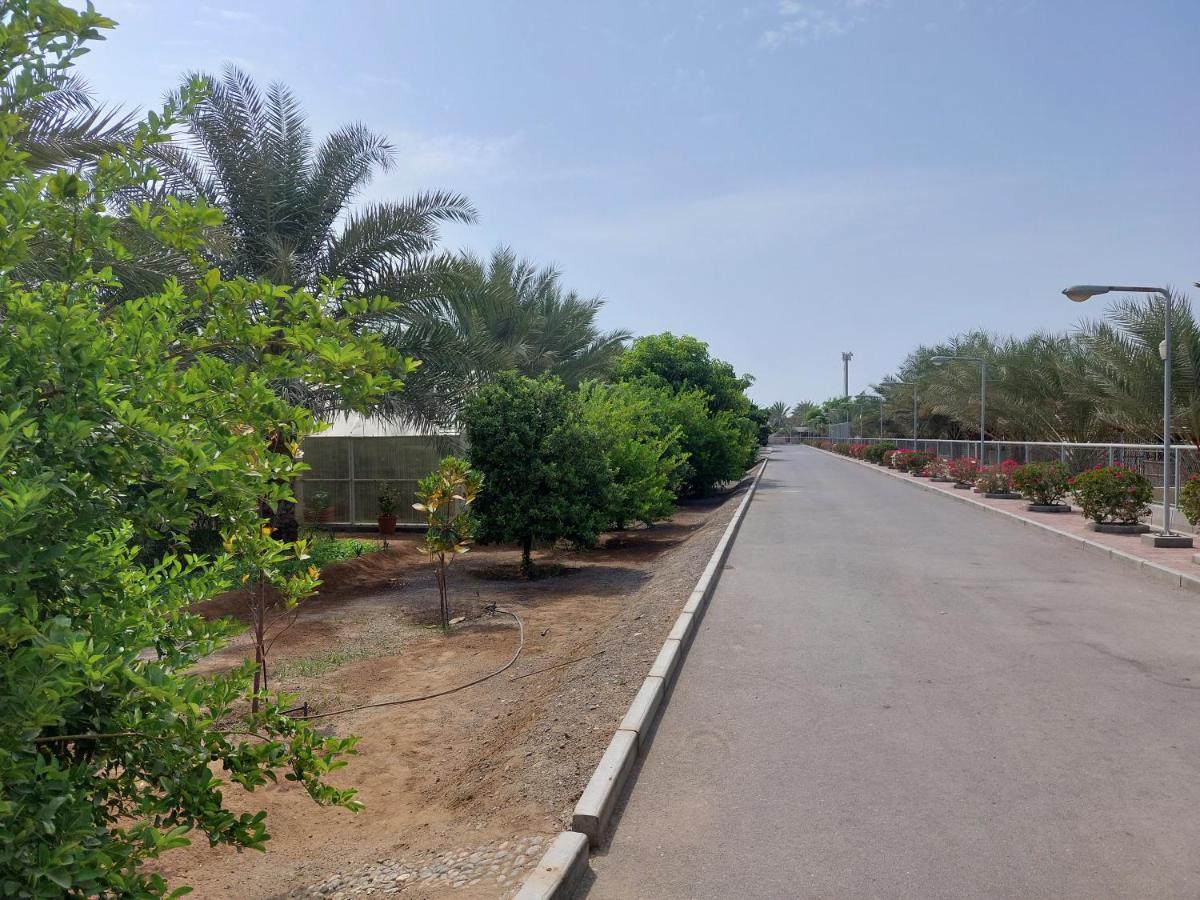 Asahalah Farm Pool Villas Seeb Exterior foto